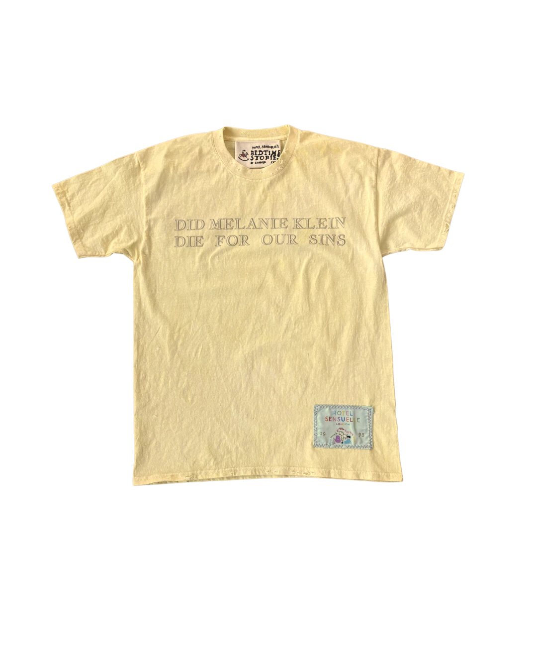 Chapter V — Melanie Klein · T-Shirt